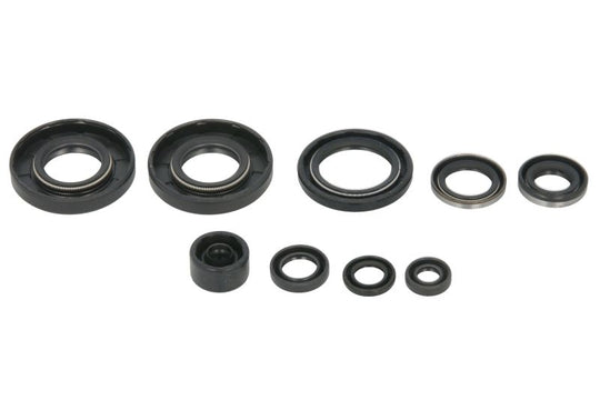 Set garnituri pentru motor WINDEROSA 822292 