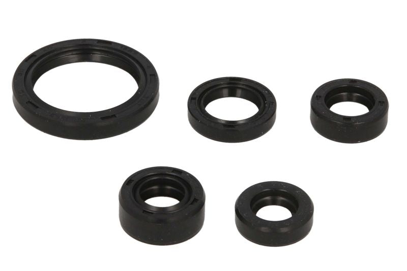 Set garnituri pentru motor WINDEROSA 822226 