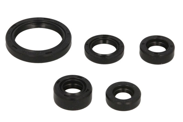 Set garnituri pentru motor WINDEROSA 822226 