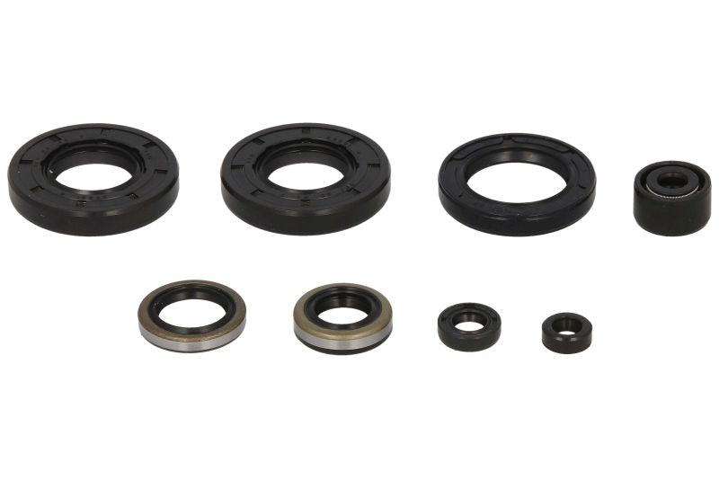 Set garnituri pentru motor WINDEROSA 822293 
