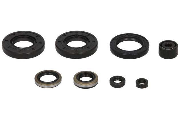 Set garnituri pentru motor WINDEROSA 822293 