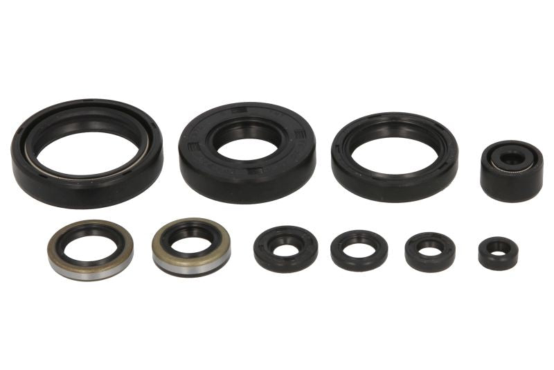 Set garnituri pentru motor WINDEROSA 822101 