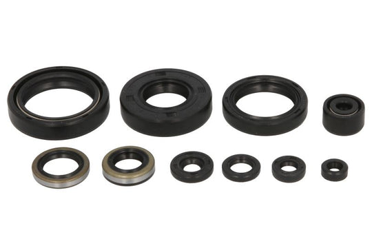 Set garnituri pentru motor WINDEROSA 822101 