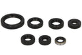 Set garnituri pentru motor WINDEROSA 822136 