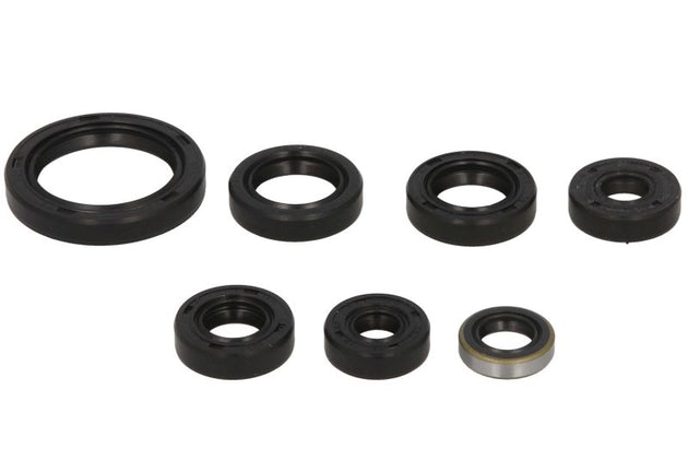 Set garnituri pentru motor WINDEROSA 822136 