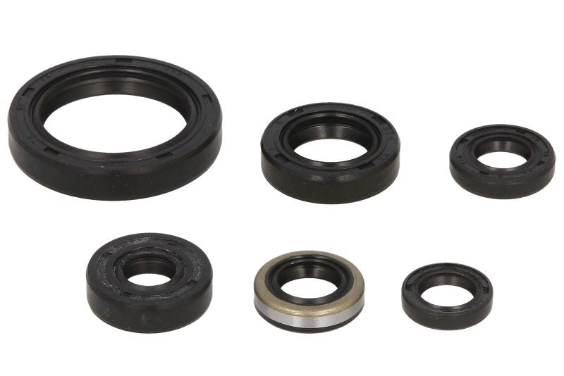 Set garnituri pentru motor WINDEROSA 822137 