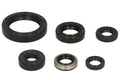 Set garnituri pentru motor WINDEROSA 822137 