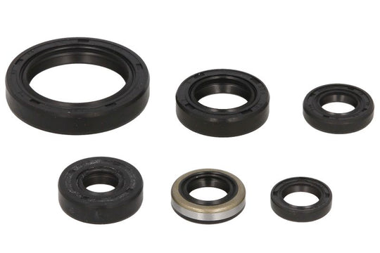 Set garnituri pentru motor WINDEROSA 822137 