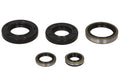 Set garnituri pentru motor WINDEROSA 822129 