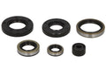 Set garnituri pentru motor WINDEROSA 822281 