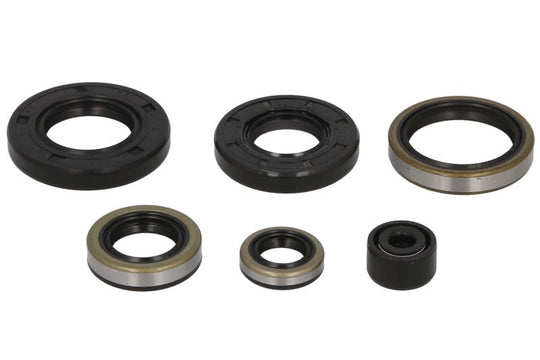 Set garnituri pentru motor WINDEROSA 822281 