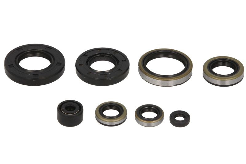 Set garnituri pentru motor WINDEROSA 822284 