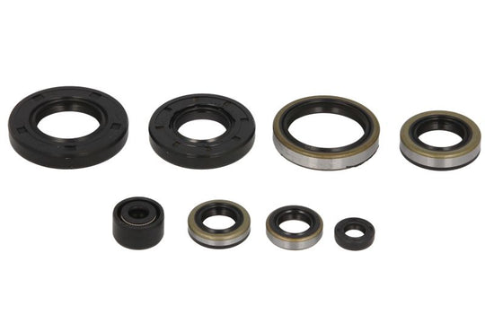 Set garnituri pentru motor WINDEROSA 822284 