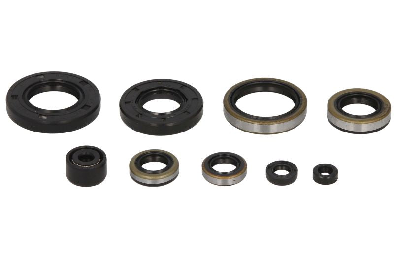 Set garnituri pentru motor WINDEROSA 822285 