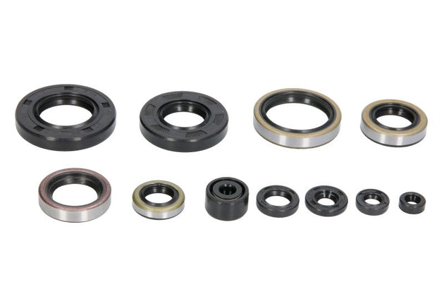 Set garnituri pentru motor WINDEROSA 822288 