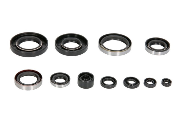 Set garnituri pentru motor WINDEROSA 822288