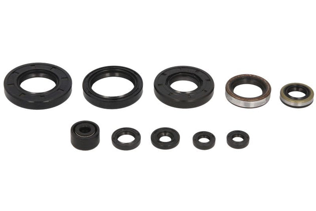 Set garnituri pentru motor WINDEROSA 822257 