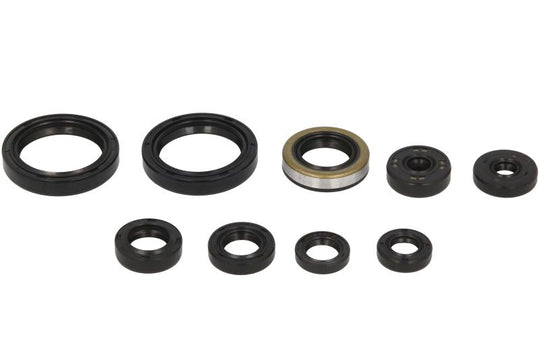 Set garnituri pentru motor WINDEROSA 822316 