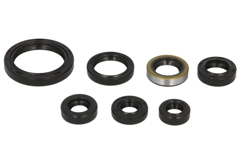 Set garnituri pentru motor WINDEROSA 822193 