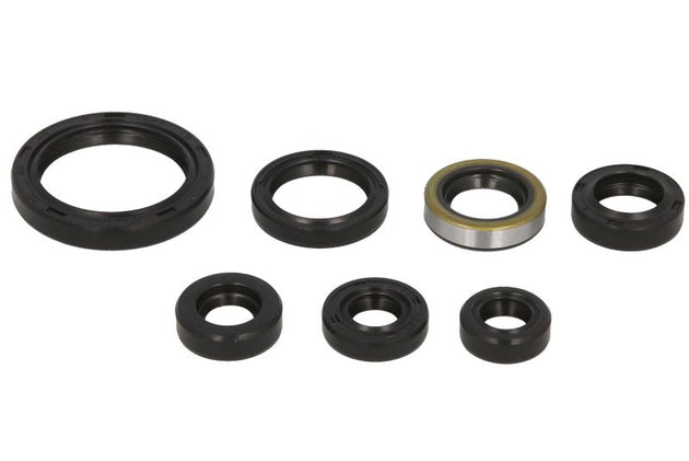Set garnituri pentru motor WINDEROSA 822193 