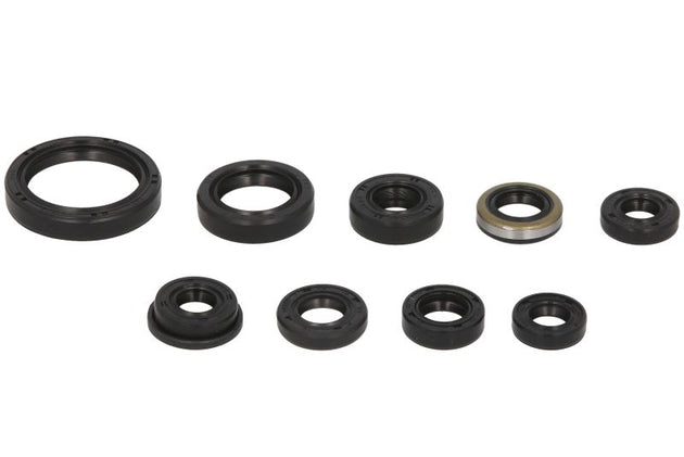 Set garnituri pentru motor WINDEROSA 822319