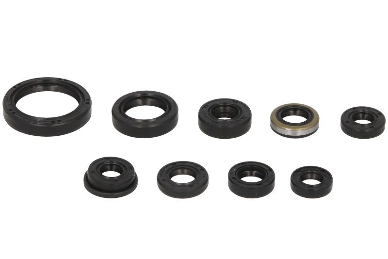 Set garnituri pentru motor WINDEROSA 822319 