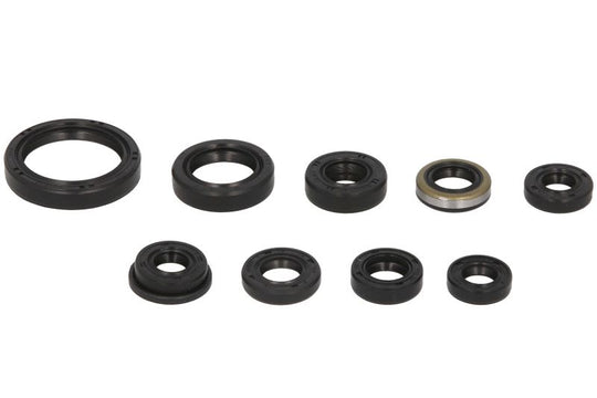 Set garnituri pentru motor WINDEROSA 822319 