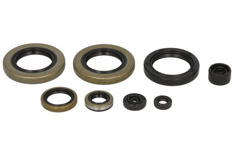 Set garnituri pentru motor WINDEROSA 822104 