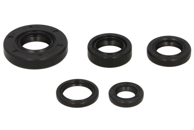 Set garnituri pentru motor WINDEROSA 822222