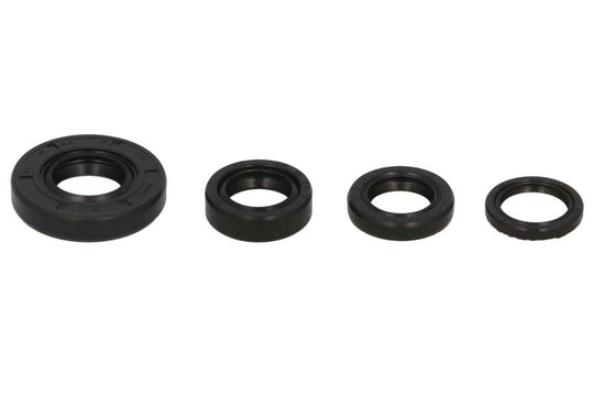 Set garnituri pentru motor WINDEROSA 822246 