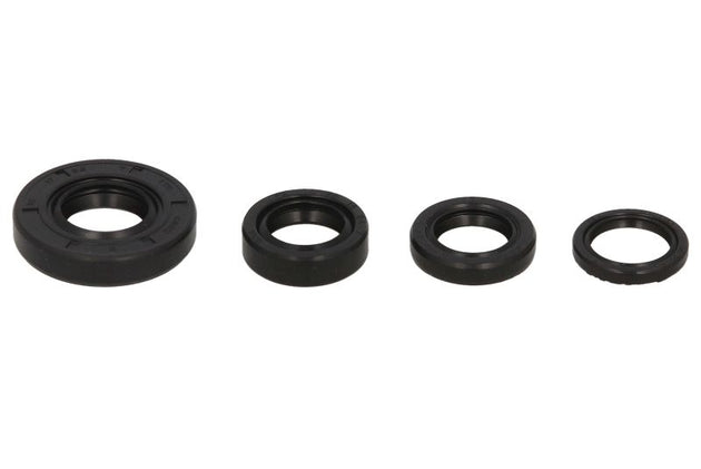 Set garnituri pentru motor WINDEROSA 822246 