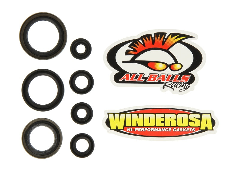 Set garnituri pentru motor WINDEROSA 822186 