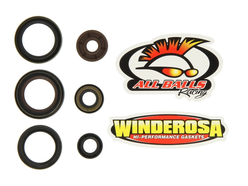 Set garnituri pentru motor WINDEROSA 822320 