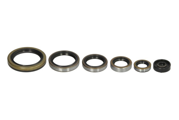 Set garnituri pentru motor WINDEROSA 822192 