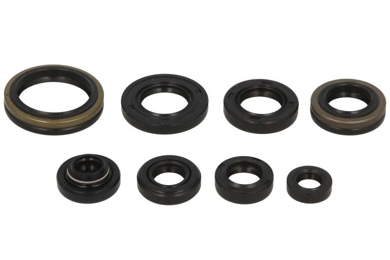 Set garnituri pentru motor WINDEROSA 822123 