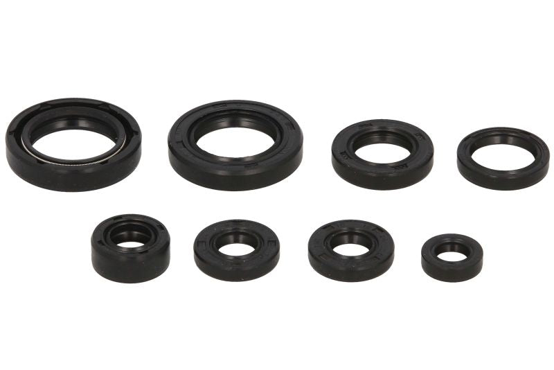 Set garnituri pentru motor WINDEROSA 822130 
