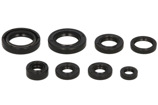 Set garnituri pentru motor WINDEROSA 822130 