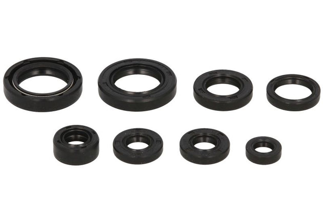 Set garnituri pentru motor WINDEROSA 822130 