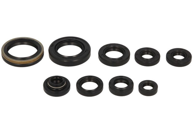 Set garnituri pentru motor WINDEROSA 822131 