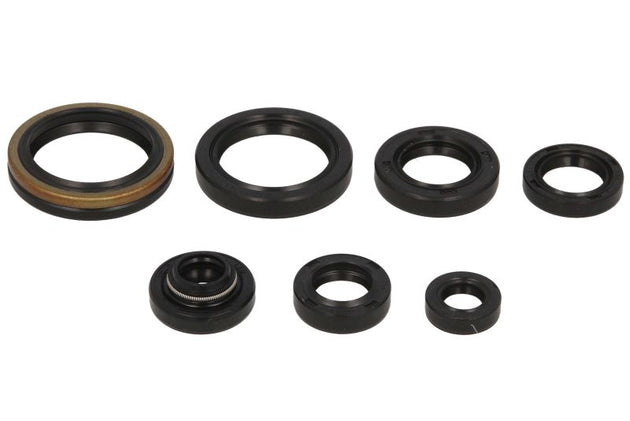 Set garnituri pentru motor WINDEROSA 822124 