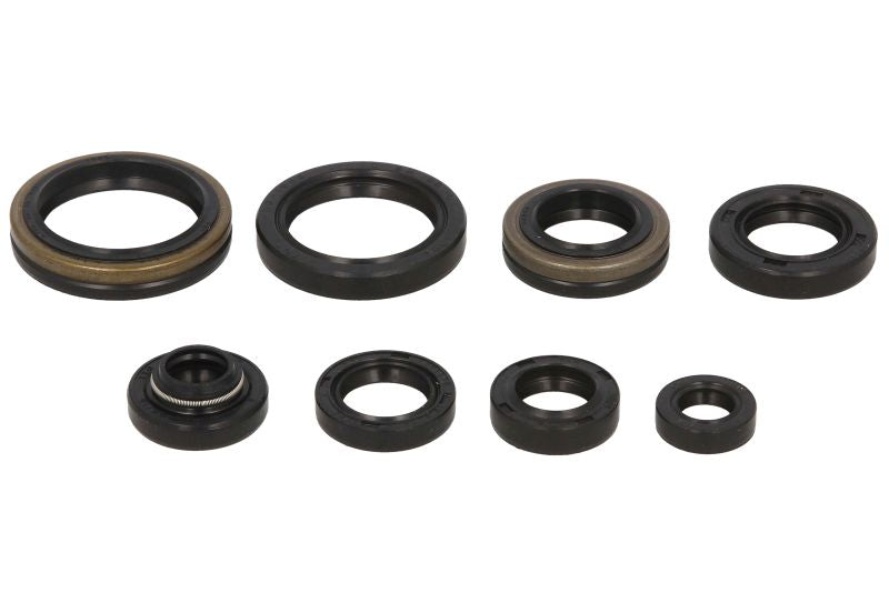 Set garnituri pentru motor WINDEROSA 822125 