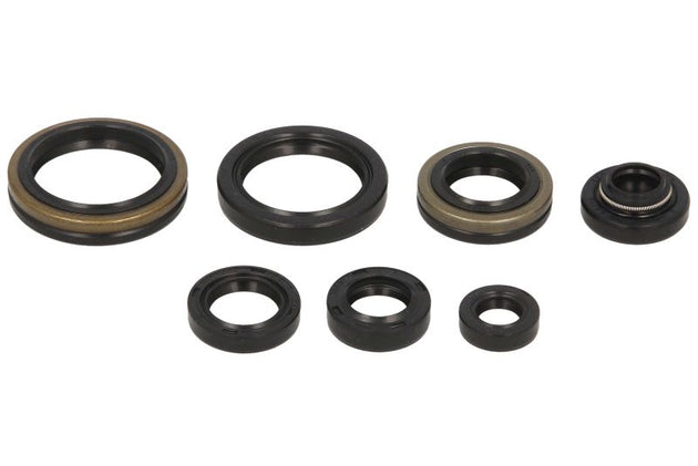 Set garnituri pentru motor WINDEROSA 822267 