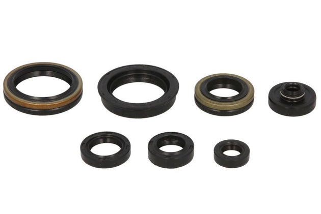 Set garnituri pentru motor WINDEROSA 822266 