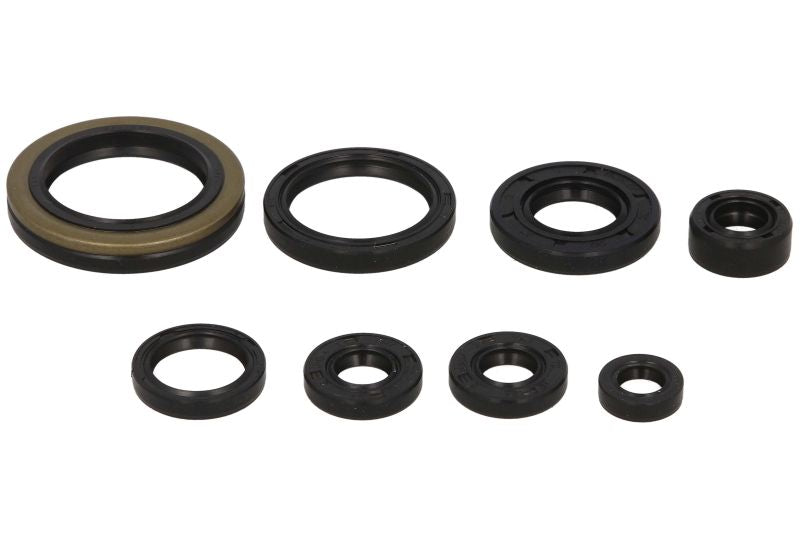 Set garnituri pentru motor WINDEROSA 822133 