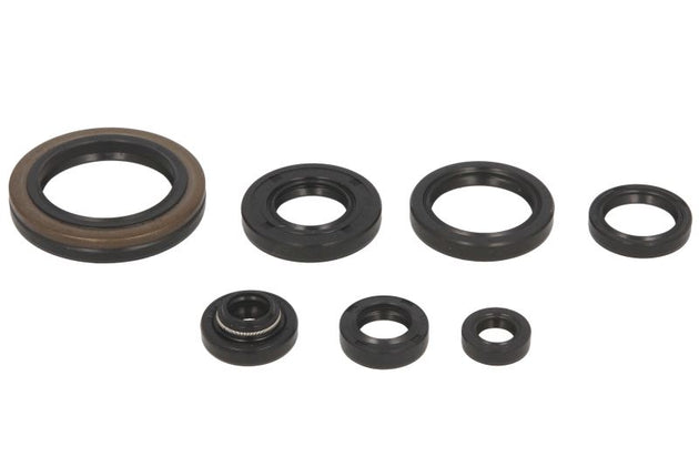 Set garnituri pentru motor WINDEROSA 822126 