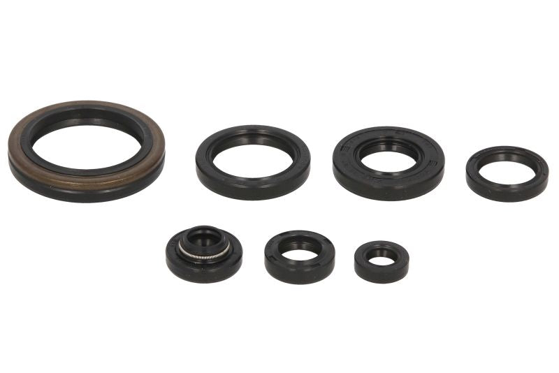 Set garnituri pentru motor WINDEROSA 822134 
