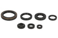 Set garnituri pentru motor WINDEROSA 822134 