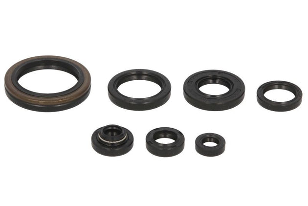 Set garnituri pentru motor WINDEROSA 822134 