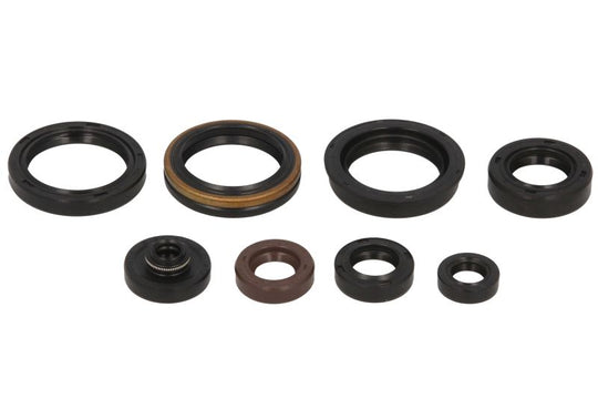Set garnituri pentru motor WINDEROSA 822329 