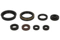 Set garnituri pentru motor WINDEROSA 822318 
